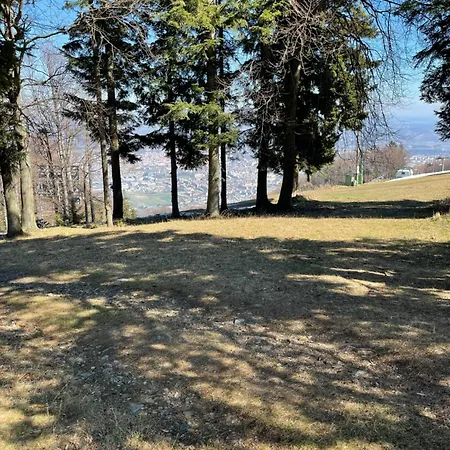 On Pohorje Hill Maribor Bike Park Next To The Downhill Track * Hočko Pohorje
