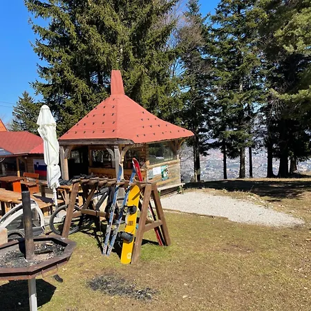 On Pohorje Hill Maribor Bike Park Next To The Downhill Track