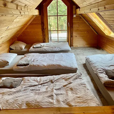 On Pohorje Hill Maribor Bike Park Next To The Downhill Track * Hočko Pohorje