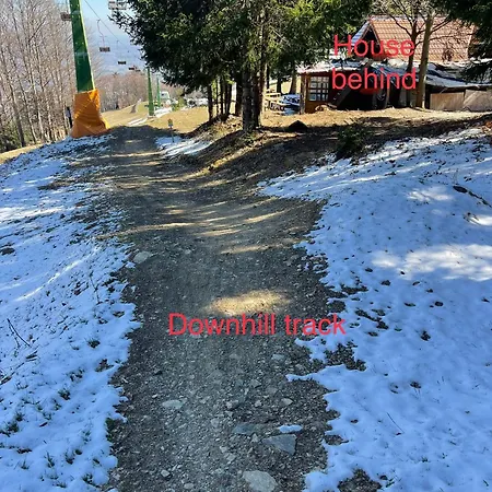 Chalet On Pohorje Hill Maribor Bike Park Next To The Downhill Track Hočko Pohorje