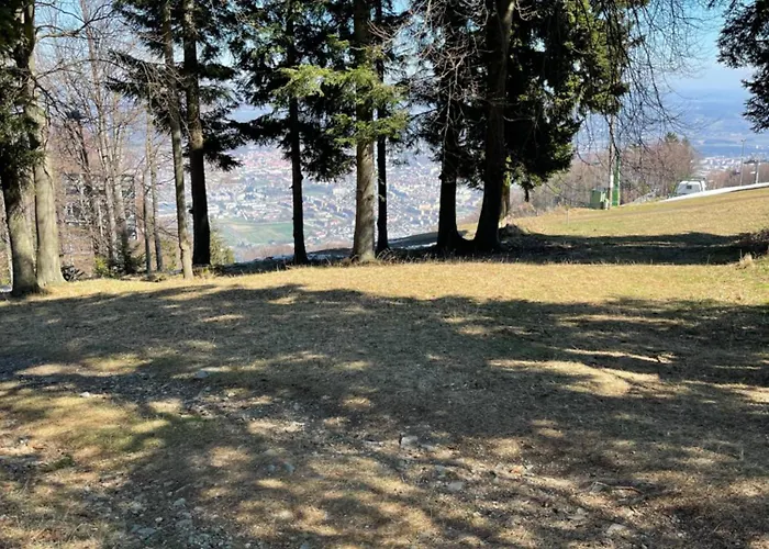 On Pohorje Hill Maribor Bike Park Next To The Downhill Track