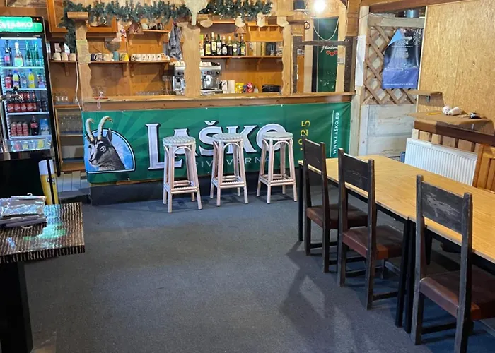 On Pohorje Hill Maribor Bike Park Next To The Downhill Track